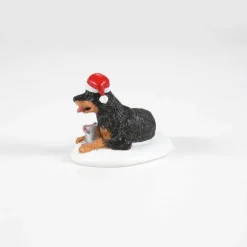 A Perfect Gift For Snots