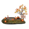 Animated Pumpkin Patch