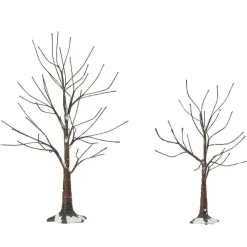 Landscape Trees Snow Road