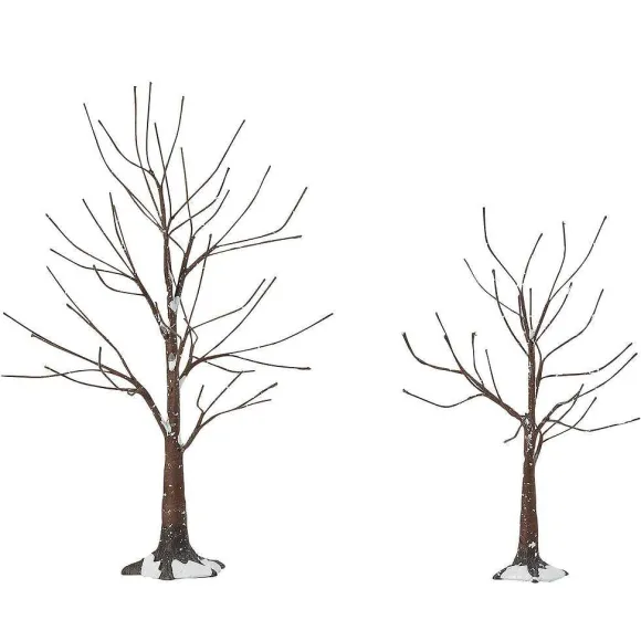 Landscape Trees Snow Road