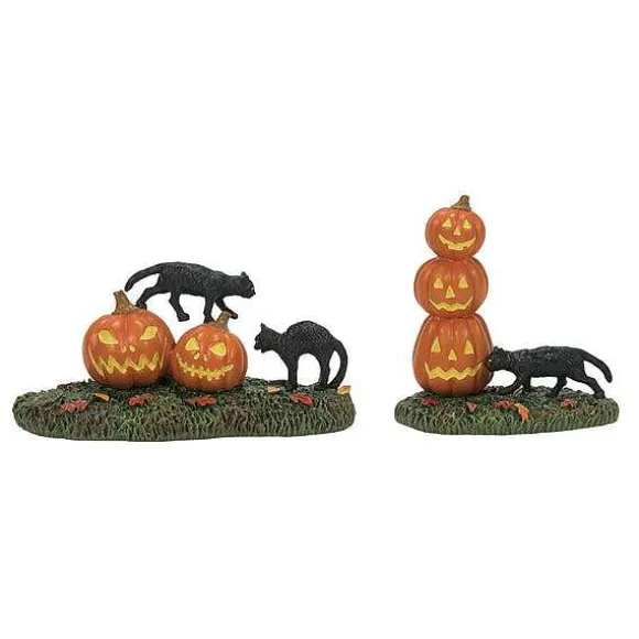 Scary Cats Pumpkins St/2