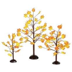 Village Autumn Maple Trees