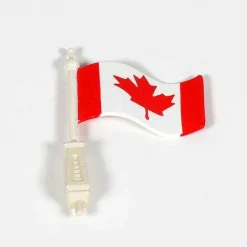 Village Town Hall Canadian Flag