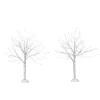 Winter Birch