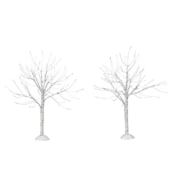 Winter Birch