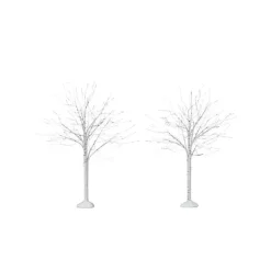 Winter Birch